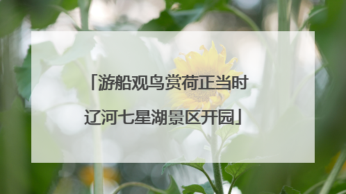游船观鸟赏荷正当时 辽河七星湖景区开园