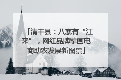 清丰县：八寨有“江来”，网红品牌擘画电商助农发展新图景