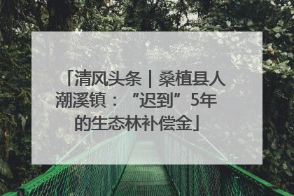 清风头条｜桑植县人潮溪镇：“迟到”5年的生态林补偿金