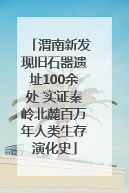 渭南新发现旧石器遗址100余处 实证秦岭北麓百万年人类生存演化史