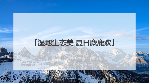 湿地生态美 夏日麋鹿欢