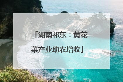 湖南祁东：黄花菜产业助农增收