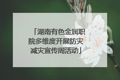 湖南有色金属职院多维度开展防灾减灾宣传周活动