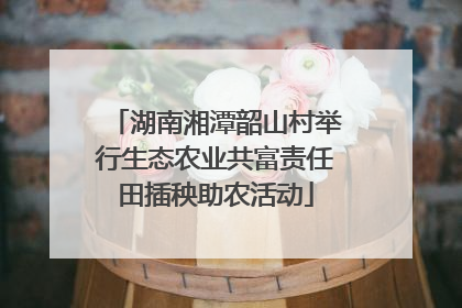湖南湘潭韶山村举行生态农业共富责任田插秧助农活动