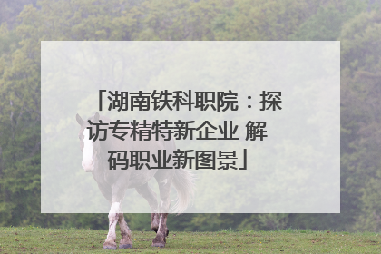 湖南铁科职院：探访专精特新企业 解码职业新图景