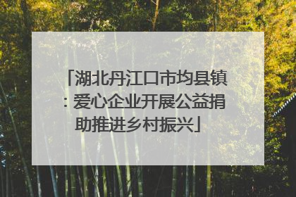 湖北丹江口市均县镇：爱心企业开展公益捐助推进乡村振兴