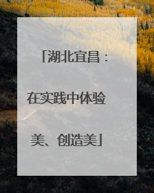 湖北宜昌：在实践中体验美、创造美