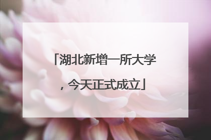 湖北新增一所大学，今天正式成立