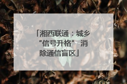 湘西联通：城乡“信号升格” 消除通信盲区