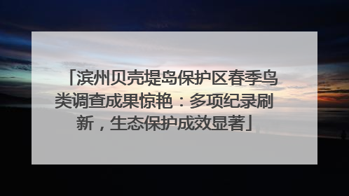 滨州贝壳堤岛保护区春季鸟类调查成果惊艳：多项纪录刷新，生态保护成效显著