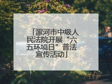 漯河市中级人民法院开展“六五环境日”普法宣传活动