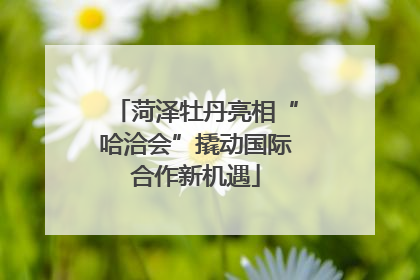 菏泽牡丹亮相“哈洽会”撬动国际合作新机遇