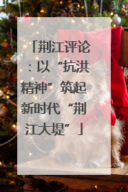 荆江评论：以“抗洪精神”筑起新时代“荆江大堤”