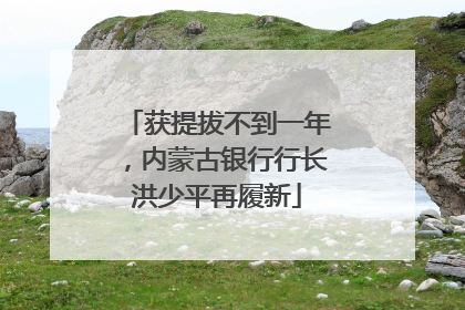获提拔不到一年，内蒙古银行行长洪少平再履新