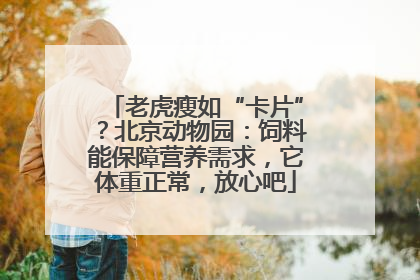 老虎瘦如“卡片”？北京动物园：饲料能保障营养需求，它体重正常，放心吧