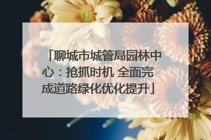 聊城市城管局园林中心：抢抓时机 全面完成道路绿化优化提升