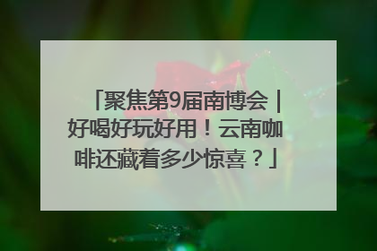 聚焦第9届南博会｜好喝好玩好用！云南咖啡还藏着多少惊喜？