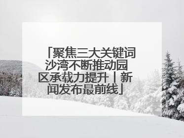 聚焦三大关键词 沙湾不断推动园区承载力提升丨新闻发布最前线