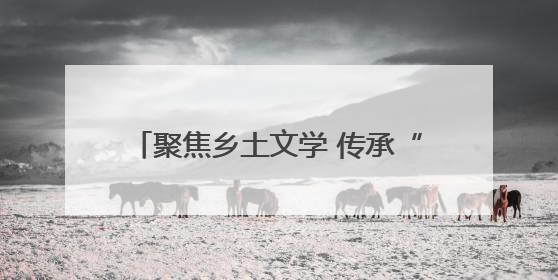 聚焦乡土文学 传承“三不朽”精神，《袁家岭》新书发布会举行