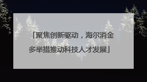 聚焦创新驱动，海尔消金多举措推动科技人才发展