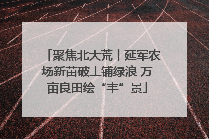 聚焦北大荒丨延军农场新苗破土铺绿浪 万亩良田绘“丰”景