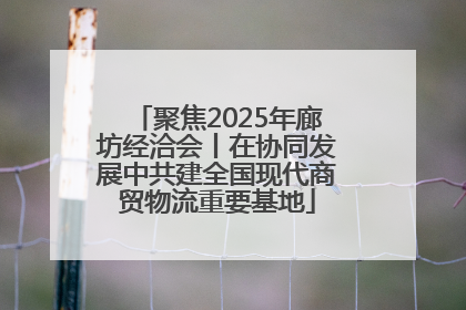 聚焦2025年廊坊经洽会丨在协同发展中共建全国现代商贸物流重要基地