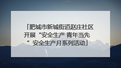 肥城市新城街道赵庄社区开展“安全生产 青年当先”安全生产月系列活动