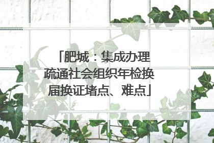 肥城：集成办理 疏通社会组织年检换届换证堵点、难点