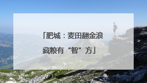 肥城：麦田翻金浪藏粮有“智”方