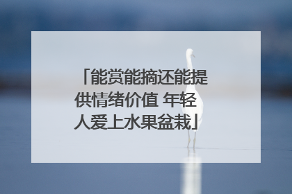 能赏能摘还能提供情绪价值 年轻人爱上水果盆栽