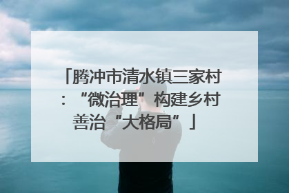 腾冲市清水镇三家村：“微治理”构建乡村善治“大格局”