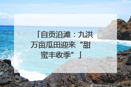 自贡沿滩：九洪万亩瓜田迎来“甜蜜丰收季”
