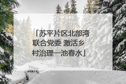 苏平片区北部湾联合党委 激活乡村治理一池春水
