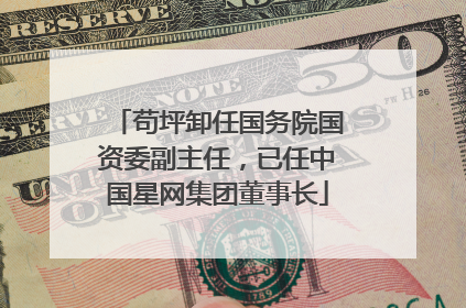 苟坪卸任国务院国资委副主任，已任中国星网集团董事长