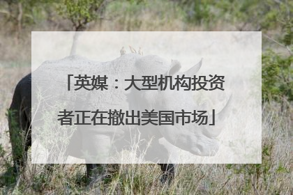 英媒：大型机构投资者正在撤出美国市场