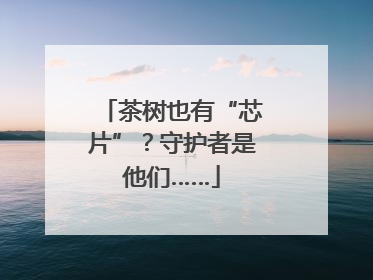 茶树也有“芯片”？守护者是他们……