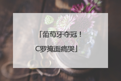 葡萄牙夺冠！C罗掩面痛哭