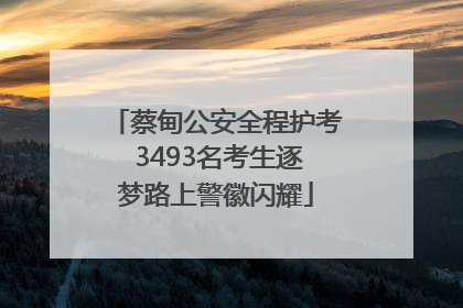 蔡甸公安全程护考 3493名考生逐梦路上警徽闪耀