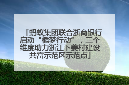 蚂蚁集团联合浙商银行启动“栀梦行动”，三个维度助力浙江下姜村建设共富示范区示范点
