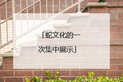 蛇文化的一次集中展示