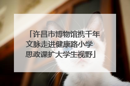 许昌市博物馆携千年文脉走进健康路小学 思政课扩大学生视野