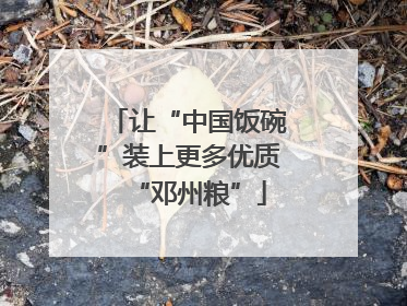 让“中国饭碗”装上更多优质“邓州粮”