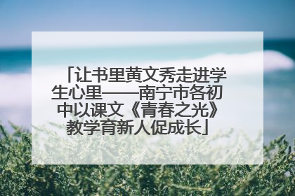 让书里黄文秀走进学生心里——南宁市各初中以课文《青春之光》教学育新人促成长