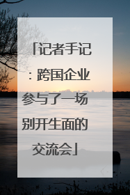 记者手记：跨国企业参与了一场别开生面的交流会