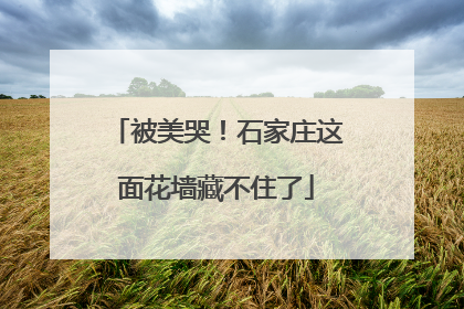 被美哭！石家庄这面花墙藏不住了
