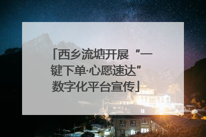 西乡流塘开展“一键下单·心愿速达”数字化平台宣传