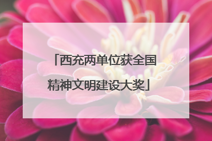 西充两单位获全国精神文明建设大奖