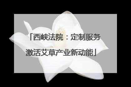 西峡法院：定制服务激活艾草产业新动能
