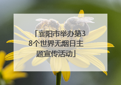 襄阳市举办第38个世界无烟日主题宣传活动