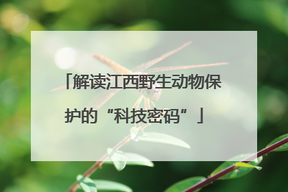 解读江西野生动物保护的“科技密码”
